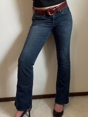 Y2K Banana Republic True Low Rise Urban Bootcut Jeans Downtown Grunge Chic